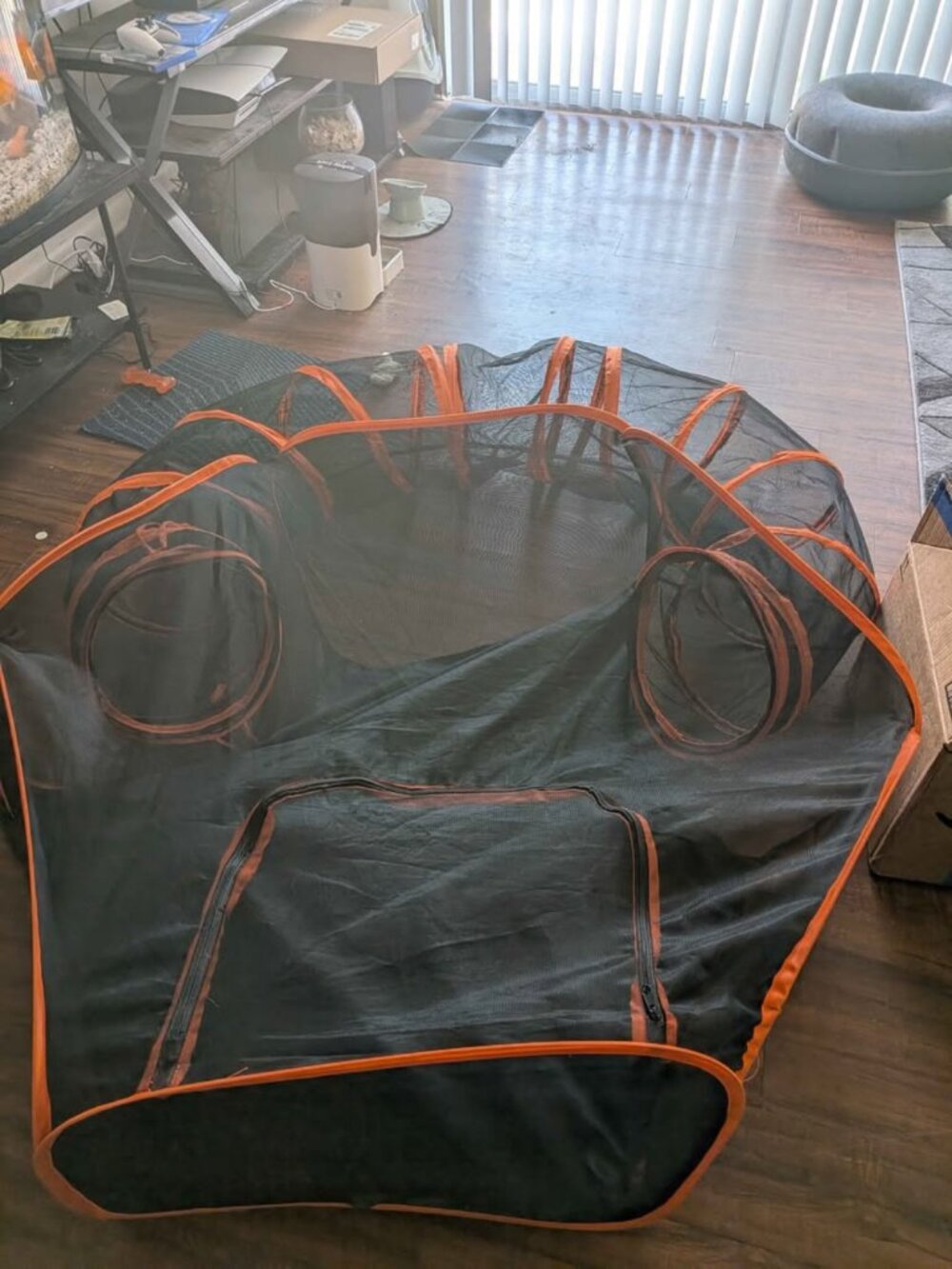 Catio - Picture 2 of 8